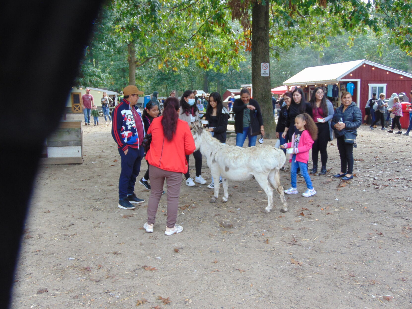 Farm gallery 15.JPG